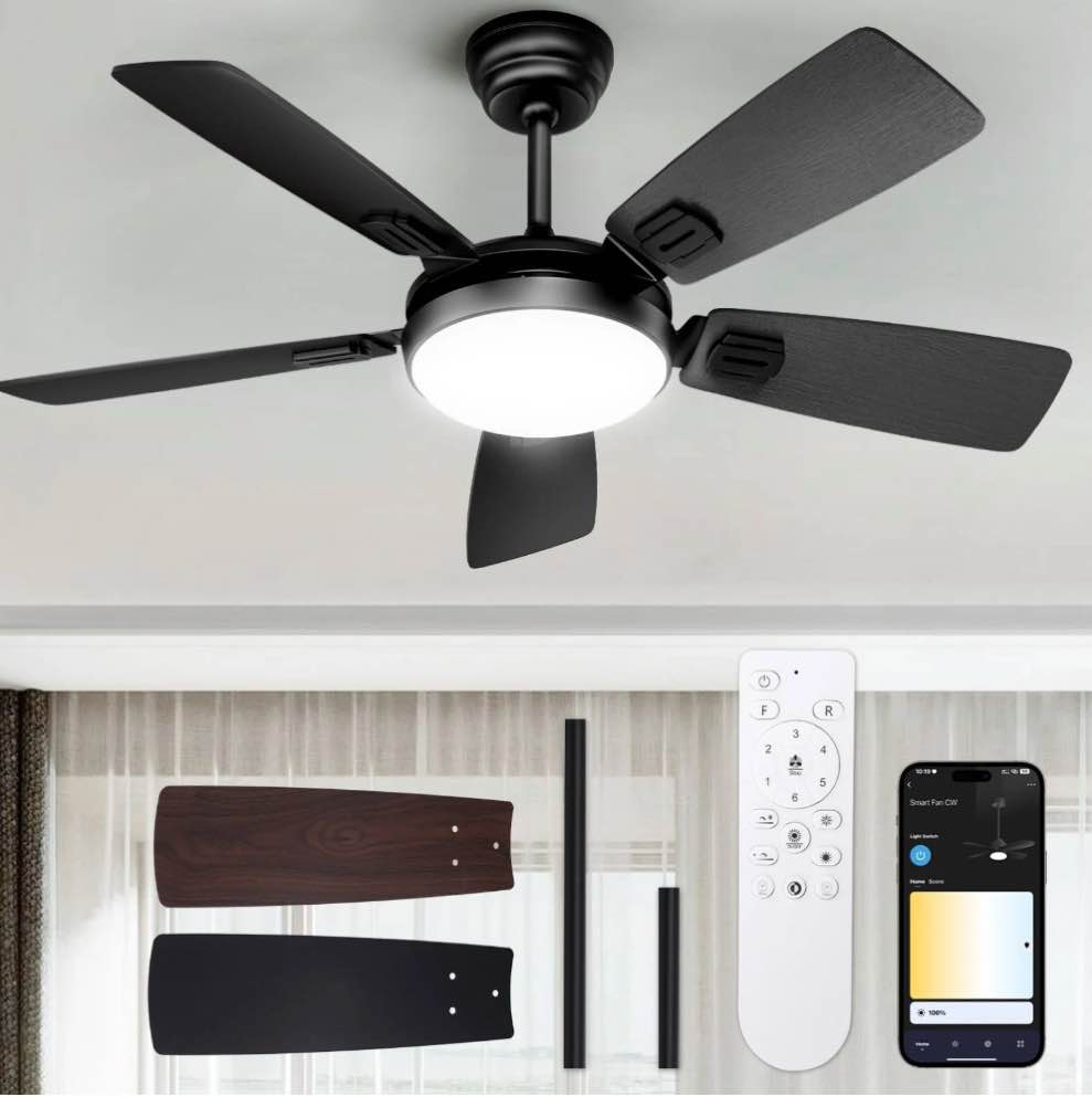 BLITZWILL Ceiling Fans with Lights and Remote & App Control, 42" Modern Ceiling Fan with 5 Dual-sided Blades, 6-Speeds Noiseless Reversible DC Motor for Farmhouse Bedroom Indoor, Black