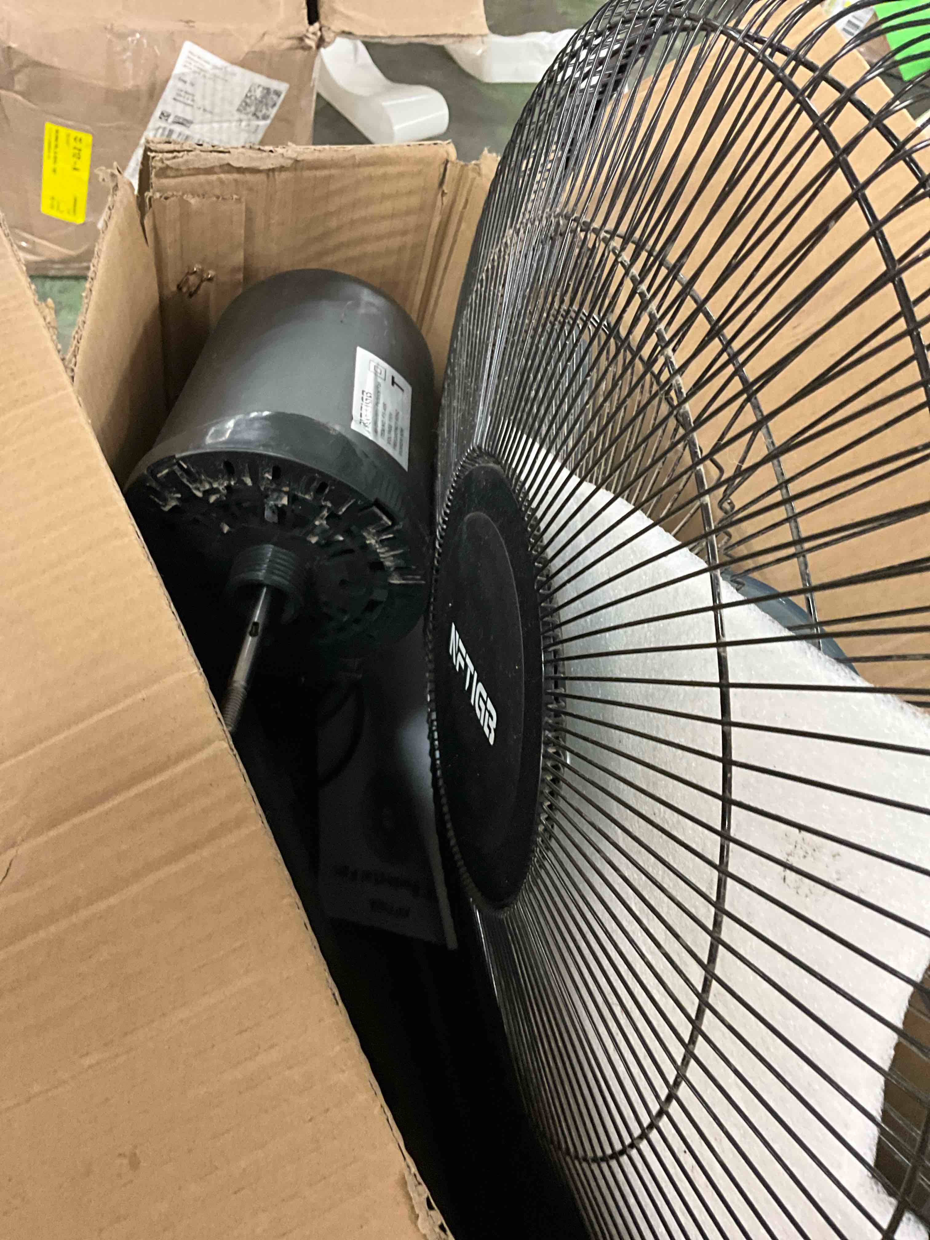 https://s3.amazonaws.com/lotting-images-prod/EmanualPiazza/PNK3439078_1753107977079.jpeg