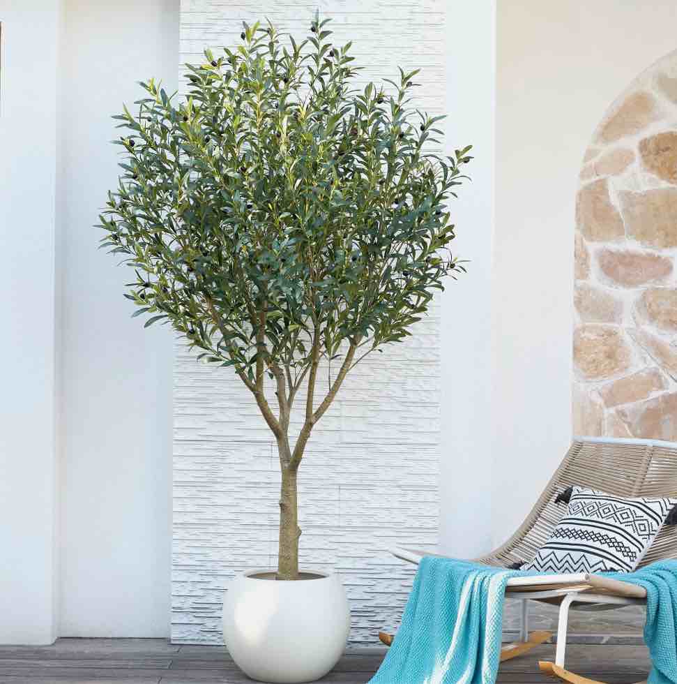 DR.Planzen 7ft Dense Artificial Olive Tree - Faux Olive Plant for Indoor & Outdoor Decor - Adjustable Branches - UV Resistant Realistic Olive Tree with Black Plastic Pot