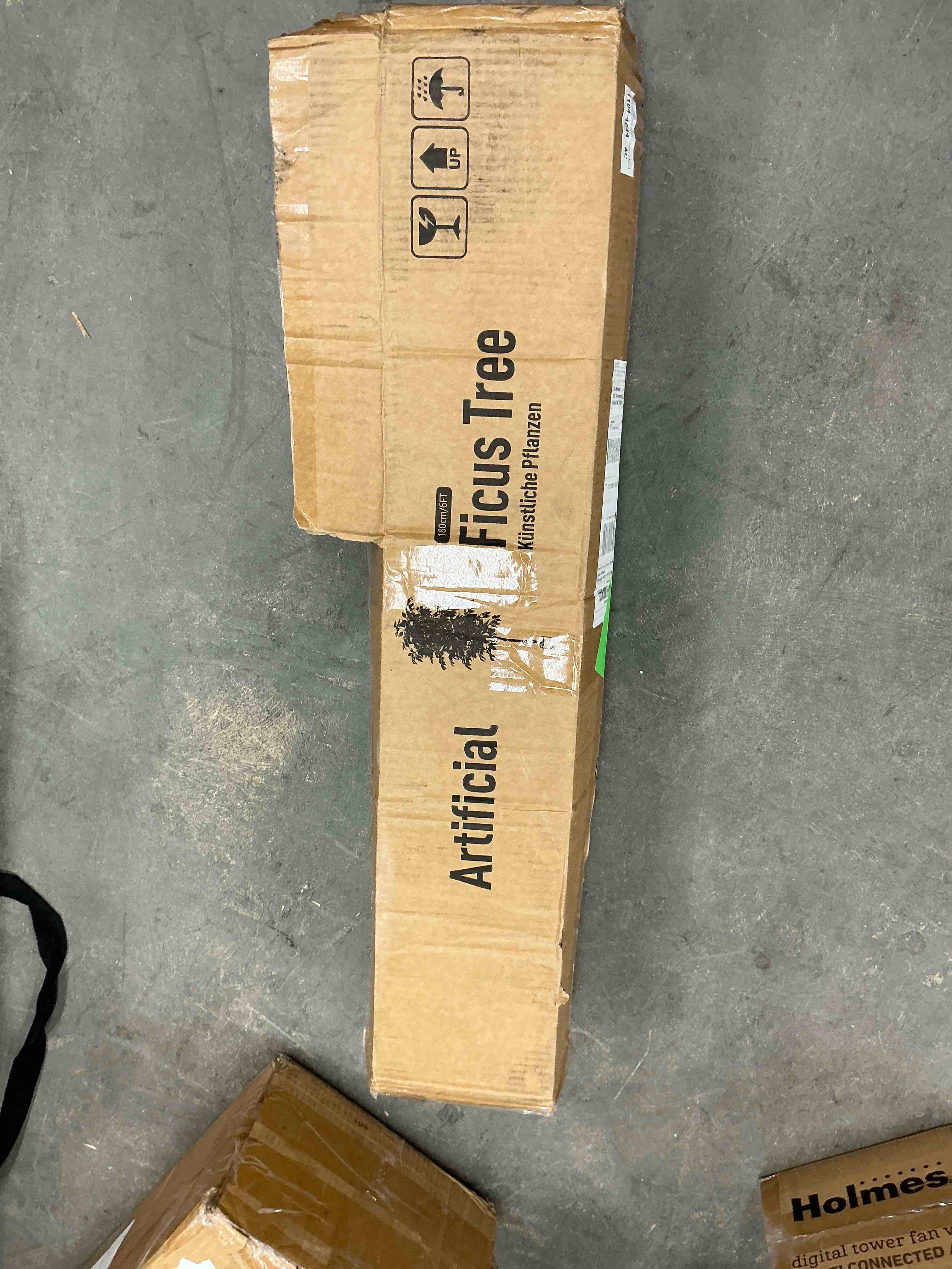 https://s3.amazonaws.com/lotting-images-prod/EmanualPiazza/PNK3441659_1759410578690.jpeg