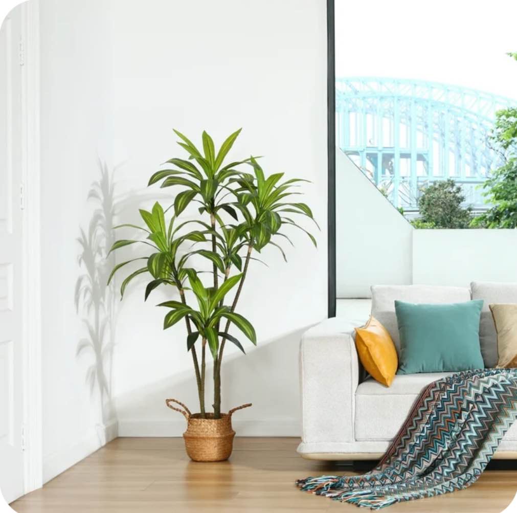 DR.Planzen Artificial Dracaena Tree, 5FT Tall Fake Plants Artificial Dracaena Tree for Indoor, Fake Trees for Office Home Living Room Floor Patio Greening Porch Decor, Set of 1