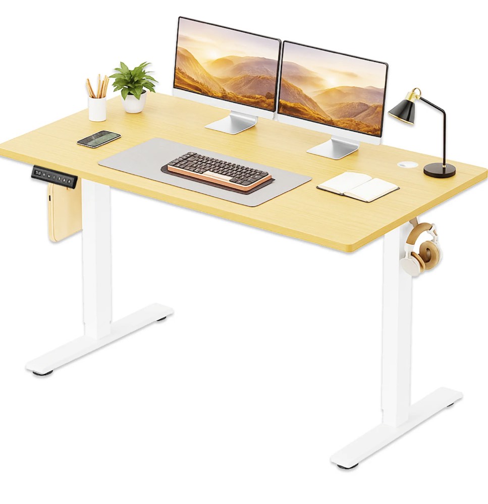 CONCETTA Electric Standing Desk, 55''x24'' Height Adjustable Desk, Home Office Desk with Electric Lift, Sit Stand Desk Workstation for Home Office, Oak