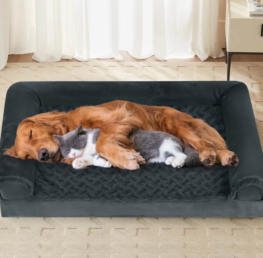 PayUSD XL Dog Beds Waterproof Orthopedic Dog Bed for Extra Large Dogs Non-Slip Bottom and Egg-Crate Foam Big Dog Pet Couch Sofa with Washable Removable Cover