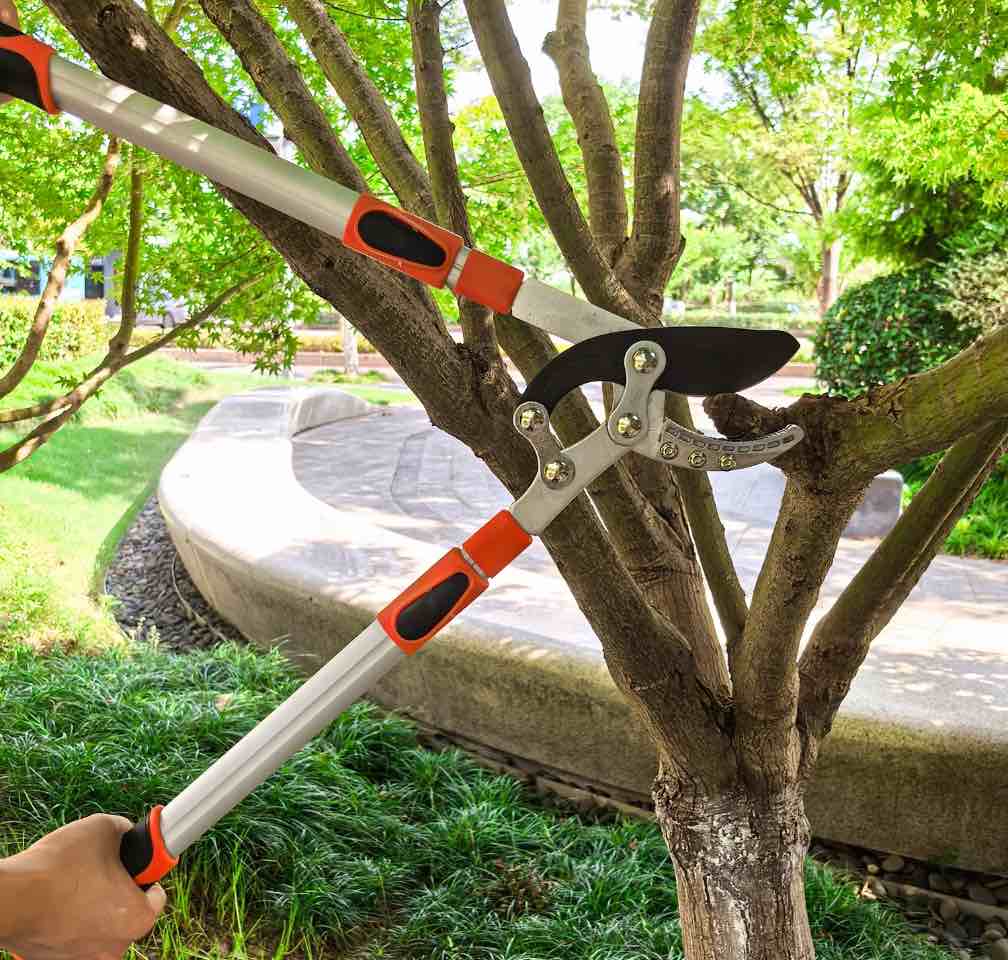 LCOKEIY Extendable Anvil Loppers Tree Trimmer with Compound Action, 27-41" Telescopic Heavy Duty Branch Cutter, 2 inch Cut Capacity, Chops Thick Branch Ease