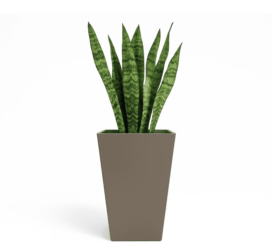 Bloem Finley 20" Tall Square Tapered Resin Planter, Peppercorn
