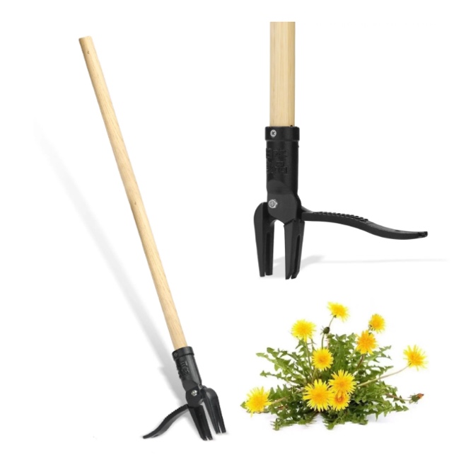 Stand Up Weed Puller Tool Heavy Duty Weeding Tool with Long Wooden Handle and 4-Claw Steel Head