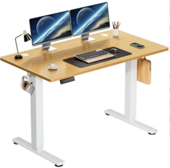 edx Electric Standing Desk, Height Adjustable Desk, 48 x 24 Inches Ergonomic Stand up Desk with Memory Preset for Home Office, Natural