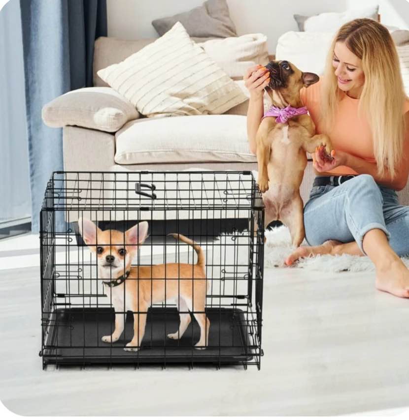 CONCETTA 24 inch Single-Door Folding Dog Crate, Portable Small Cage with Leak-Proof Pan Tray