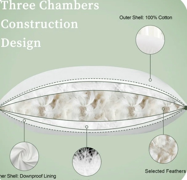 Teler Goose Feather Down Pillows for Sleeping?Luxury Hotel Collection Queen Size Soft Bed Pillow?1 Pack Queen (20" x 28")