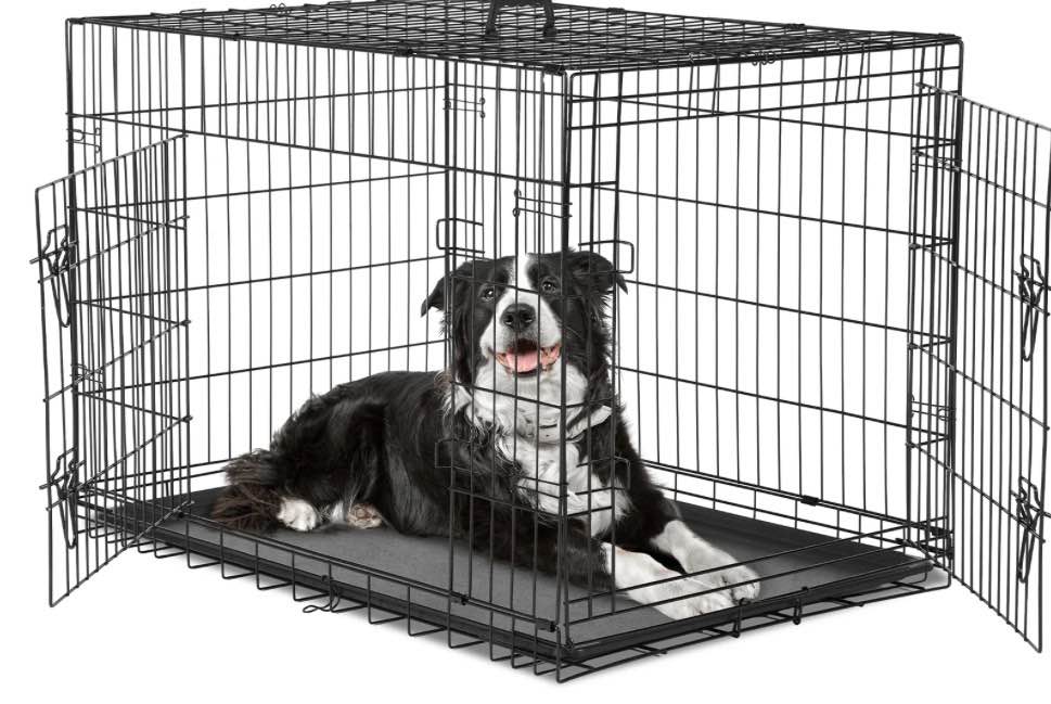 GIANNA Dog Cage Pet Crate for Dogs 36 Inch Folding Metal Pet Cage Double Door W/Divider Panel Indoor Outdoor Dog Kennel Leak-Proof Plastic Tray Wire Animal Cage