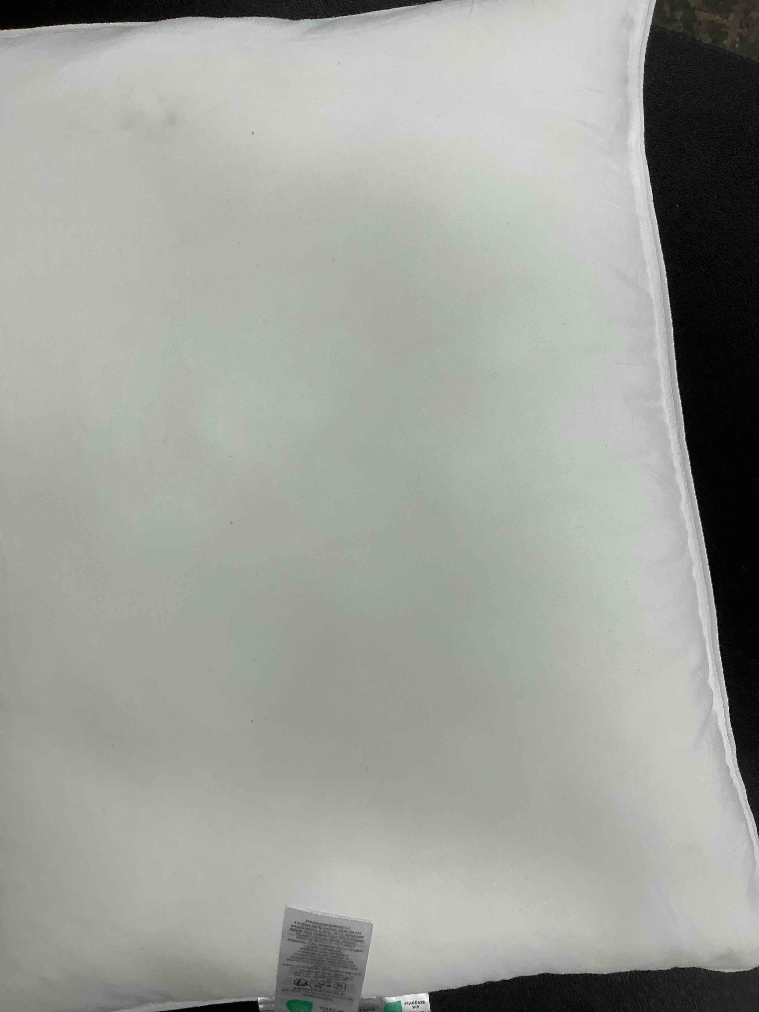 LoftAIRE™ Down Alternative Chamber Pillow - Medium, Standard