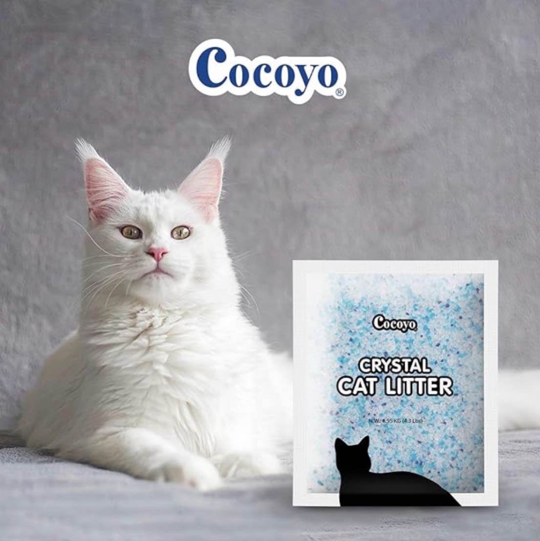 COCOYO Crystal Cat Litter I Silica Gel Cat Litter,17.2 Lbs Value Pack (4.3 Lbs x 4)
