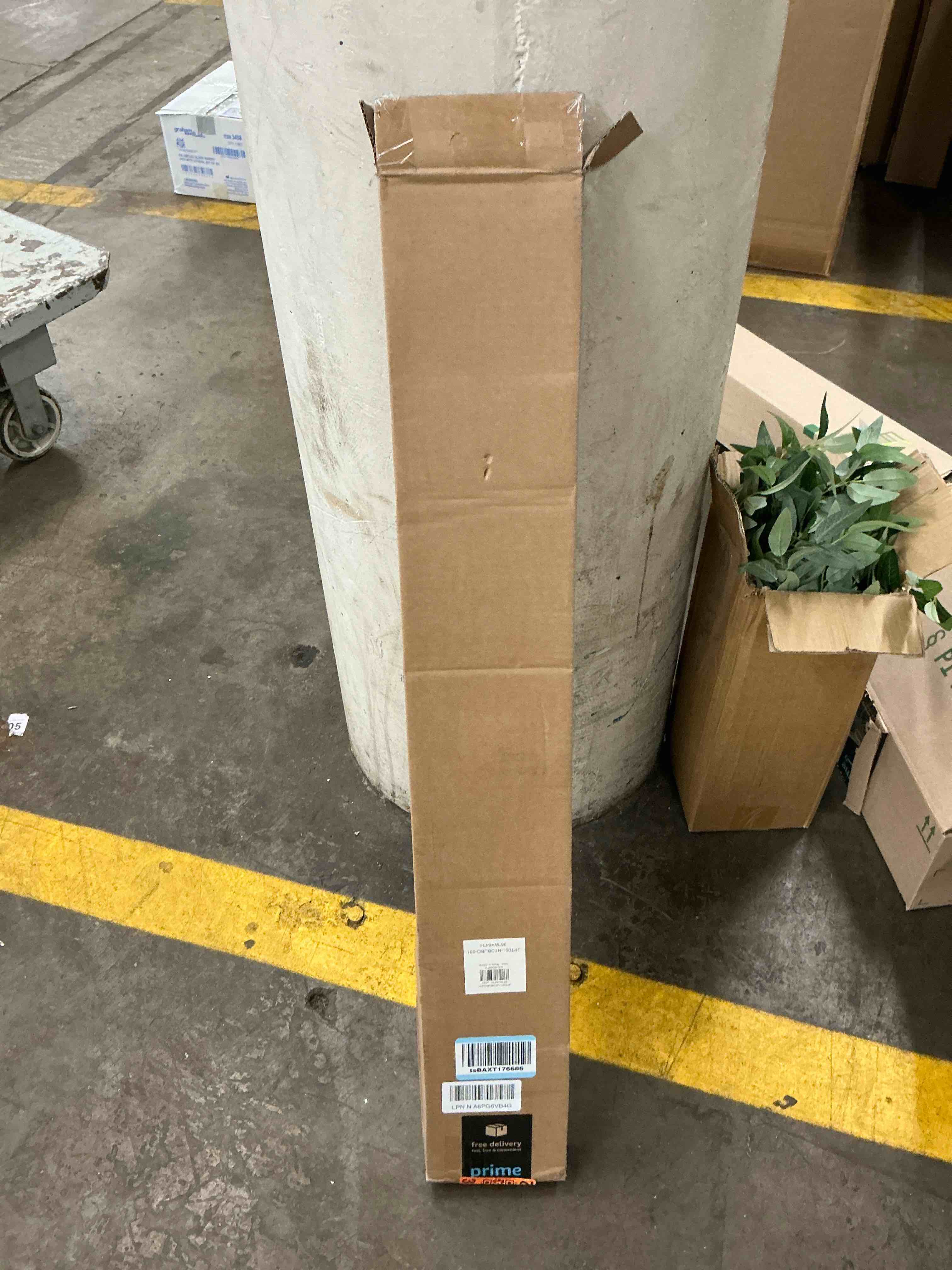 https://s3.amazonaws.com/lotting-images-prod/EmanualPiazza/PNK4016828_1776436866613.jpeg