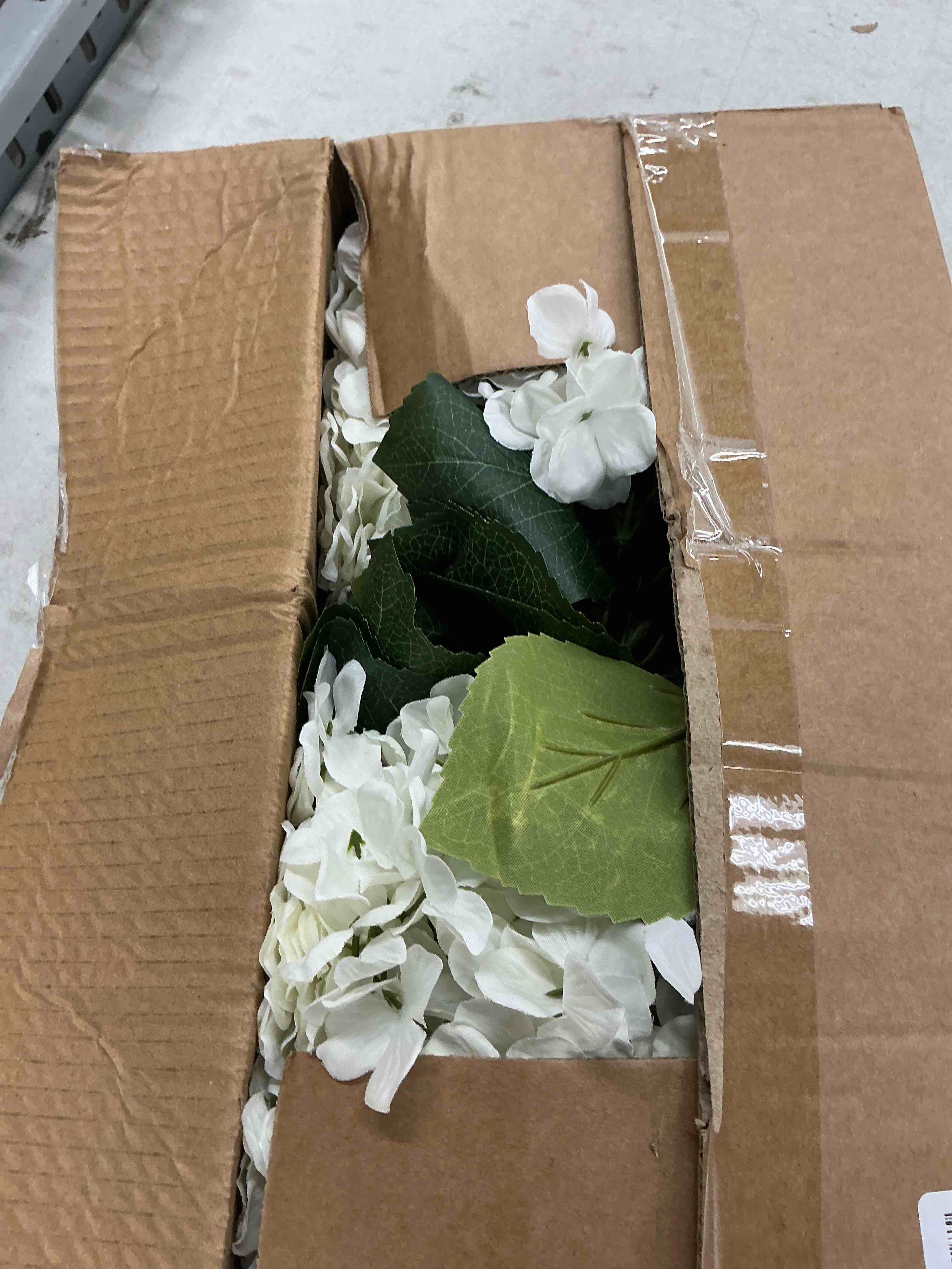 https://s3.amazonaws.com/lotting-images-prod/EmanualPiazza/PNK4019097_1779909279964.jpeg