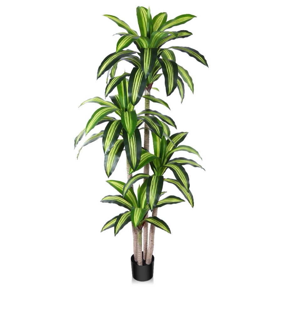 Artificial Plants, 6ft Fake Dracaena Tree in Black Plastic Pot, Faux Plants Indoor Outdoor Decor, Silk Plants for Home Decor Office Porch Patio Perfect Housewarming Gift
