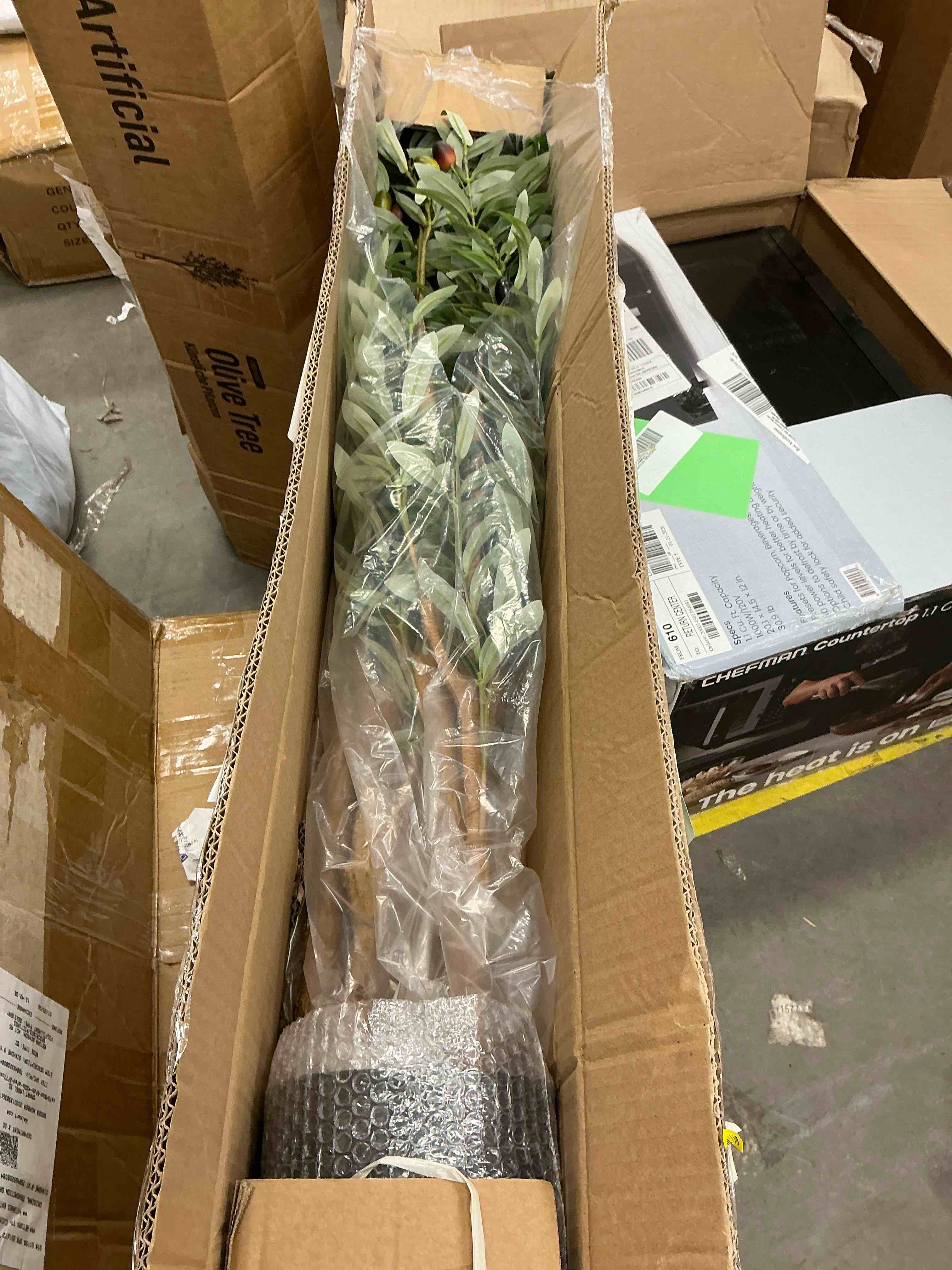 Condition photo showing Good Condition for 6 ft Artificial Olive Plants with Realistic Leaves and Natural Trunk, Silk Fake Olive Tree in Black Plastic Pot, Faux Olive Tree for Office Home