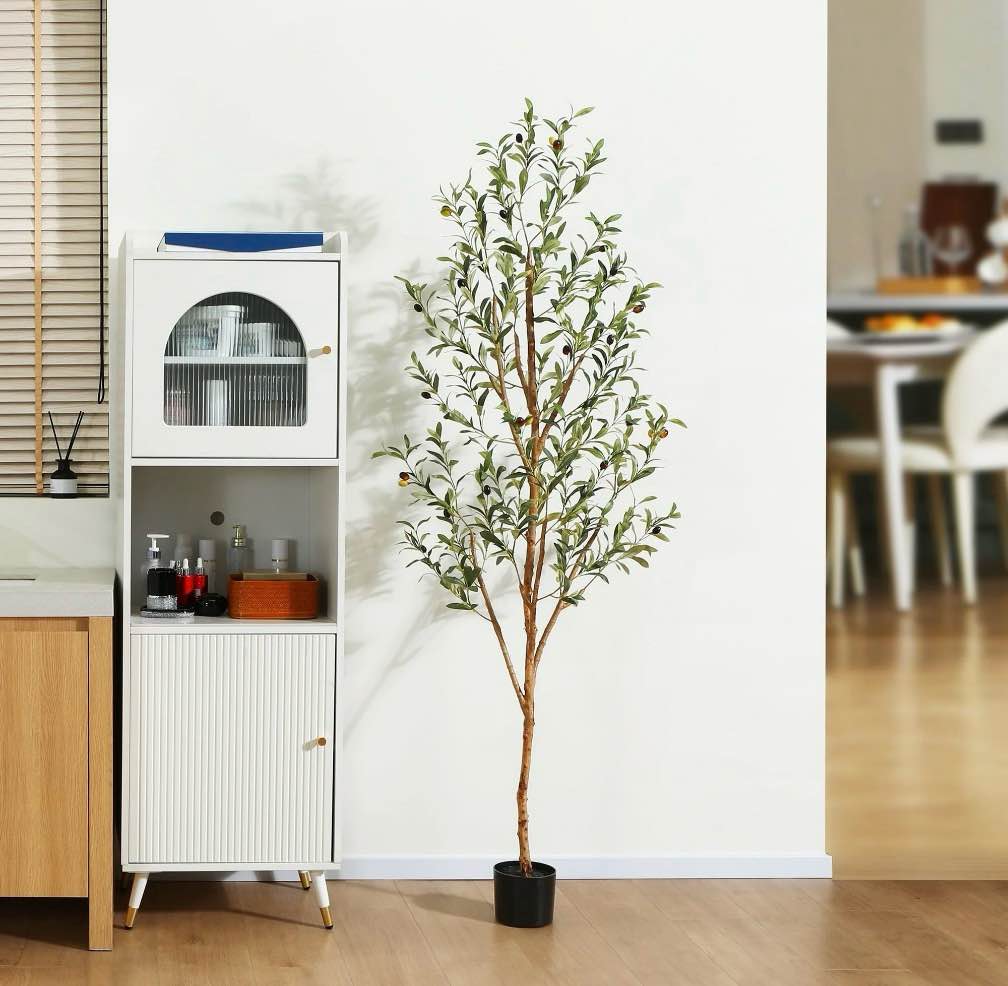 6 ft Artificial Olive Plants with Realistic Leaves and Natural Trunk, Silk Fake Olive Tree in Black Plastic Pot, Faux Olive Tree for Office Home