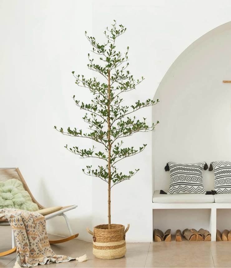 DR.Planzen 7ft Faux Black Olive Tree - Realistic Potted Artificial Tree with Natural Trunk & Silk Leaves - Tall Faux Plant for Home, Office, Indoor & Outdoor Decor - Low Maintenance & UV Resistant