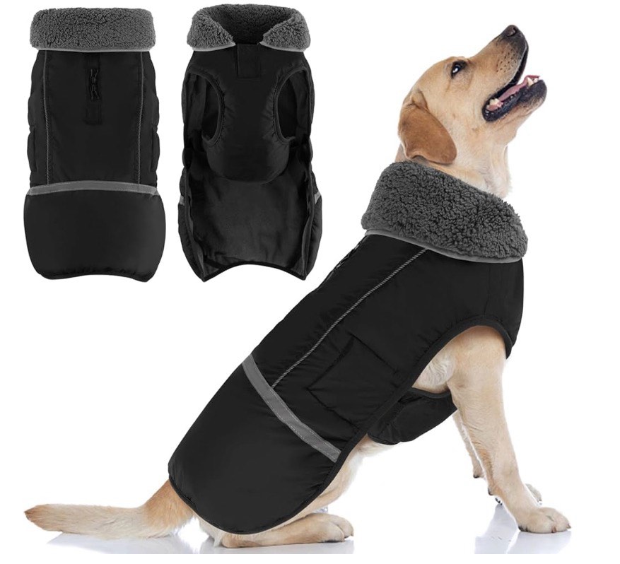doglay dog coat, waterproof dog jacket pet winter coat for cold weather with thicken furry collar, r size s