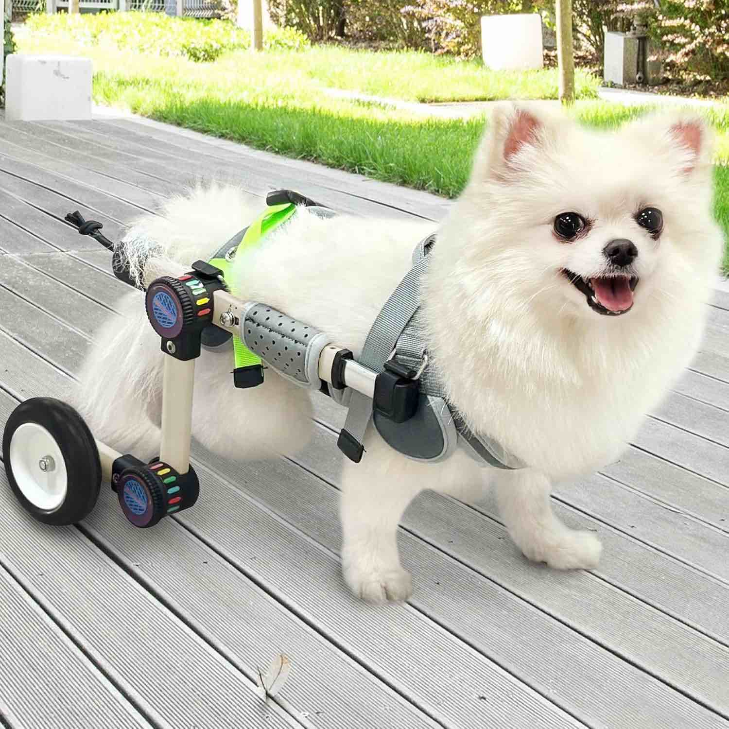 LetPetRun Adjustable Dog Wheelchair for Hind Leg Support Lightweight Mobility Cart for Disabled Pets M