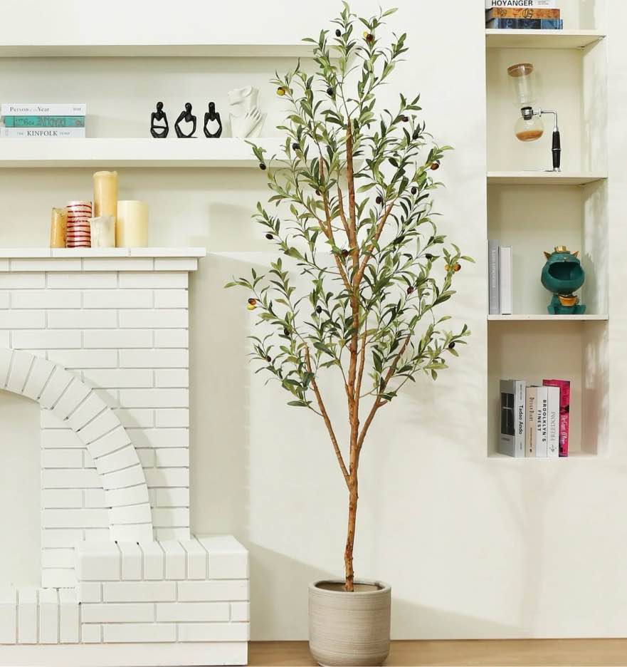6 ft Artificial Olive Plants with Realistic Leaves and Natural Trunk, Silk Fake Olive Tree in Black Plastic Pot, Faux Olive Tree for Office Home
