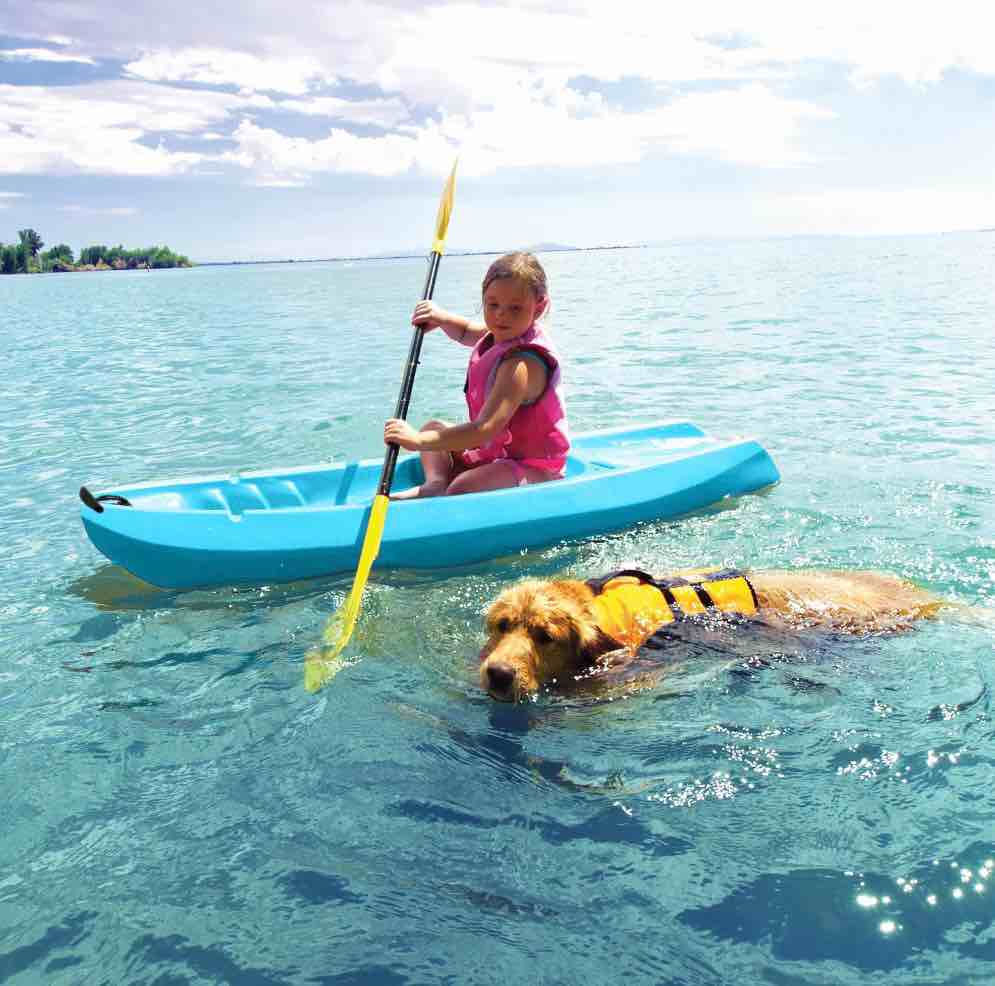 Lifetime Dash 6.5 ft. Sit-on-Top Youth Kayak Glacier Blue (90787)