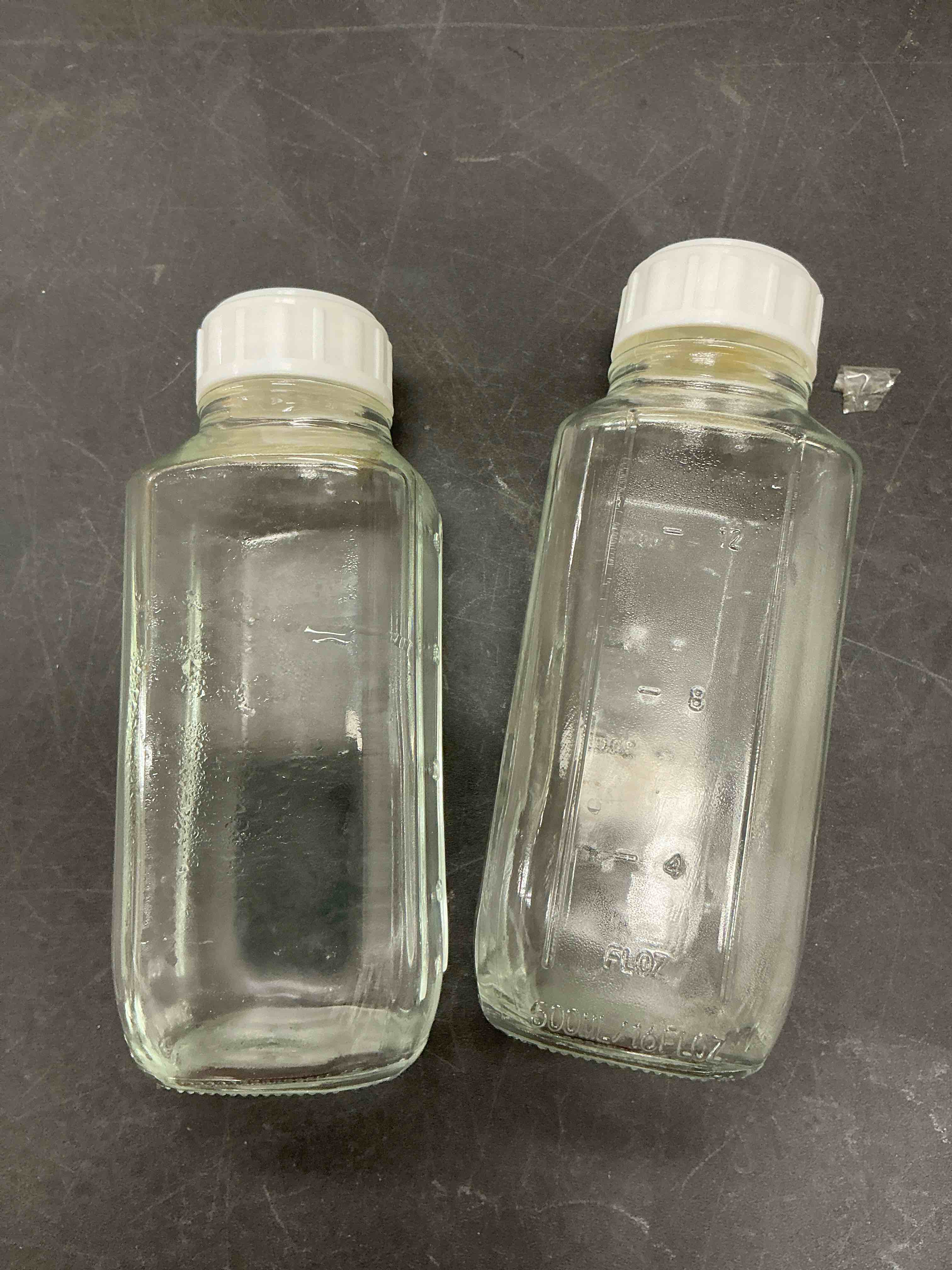 Condition photo showing Good Condition for 16 oz Glass Juice Bottles with Lids 2 pieces ,Glass Drinking Bottles with Lids and Scale Mark?500ml Water Drinking Jars for Milk,Juicing,Kombucha,Ginger,Beverage Glassware,Juice Drinking Jars