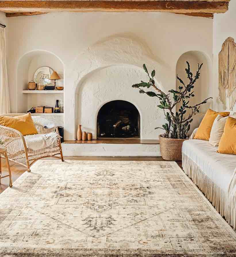 CHITOOMA 8'x10' Boho Area Rugs for Living Room, Machine Washable Area Rug with Non-Slip Backing, Stain Resistant Non-Shed Carpet for Bedroom, Dining Room, Dorm, Office