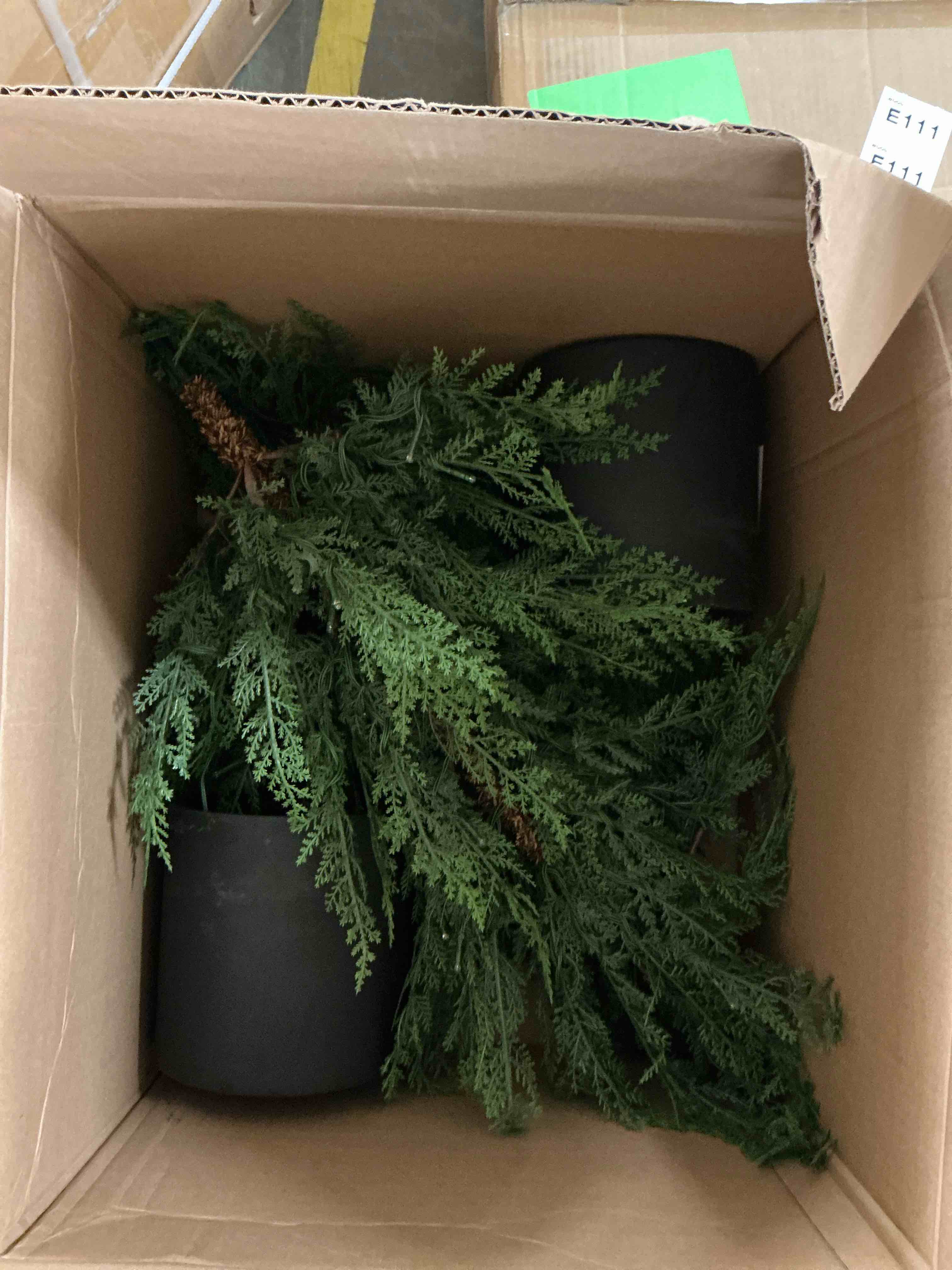 Condition photo showing Good Condition for 3 ft. Pre-Lit Cypress 2 Topiary Tree in Black Plastic Nursery Pot with Clear Lights 2 pcs
