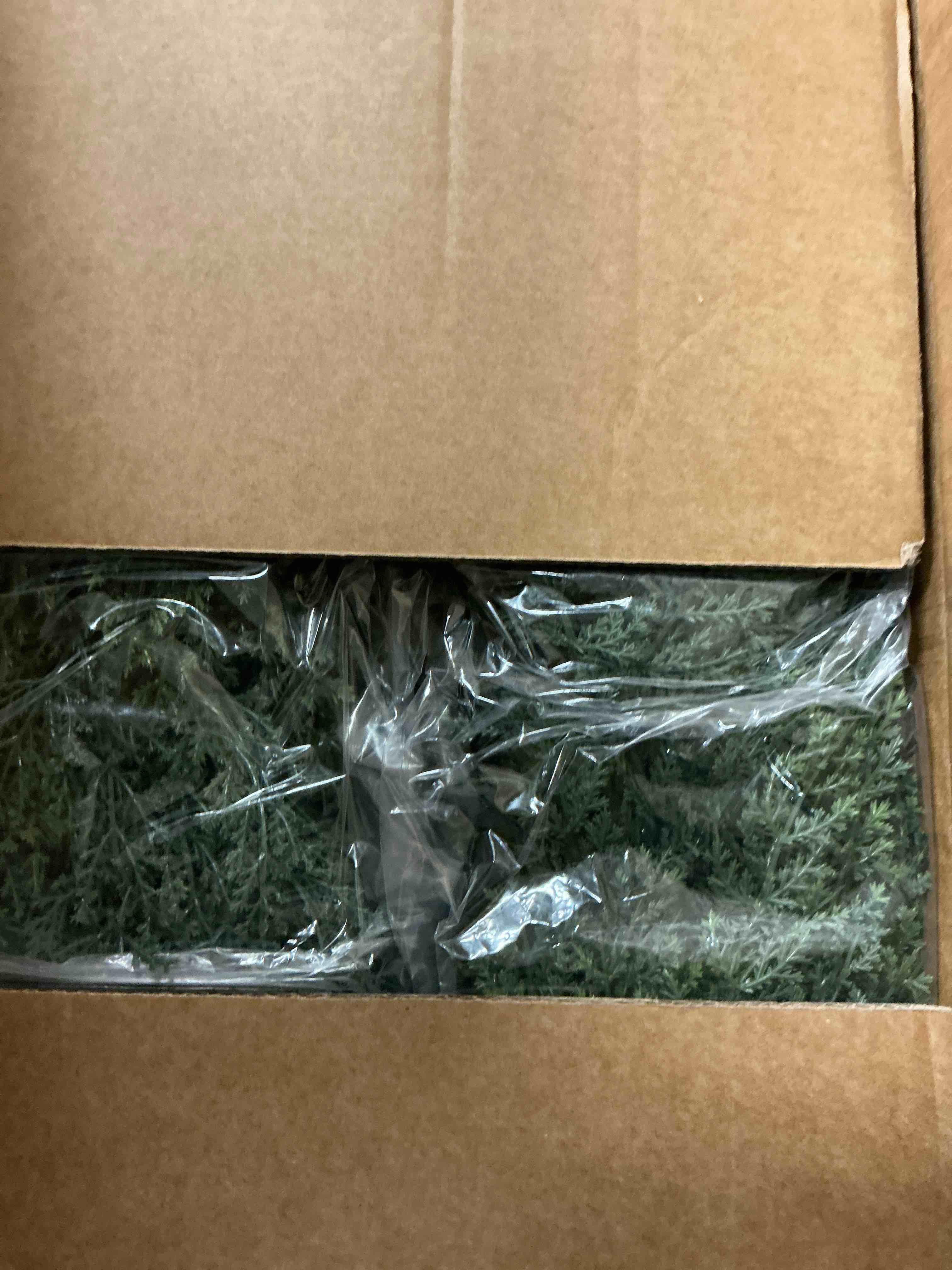 Condition photo showing New/Like New for Artificial Cedar Tree 2 Pack 4 ft Outdoor Artificial Topiary Cedar Plants Fake Tree UV Rated Potted Tree for Perfect Housewarming Gift, Set of 2