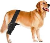 Tinzum S Dog Knee Brace for Torn Acl Hind Leg for Support with Cruciate Ligament Injury, Better Reco