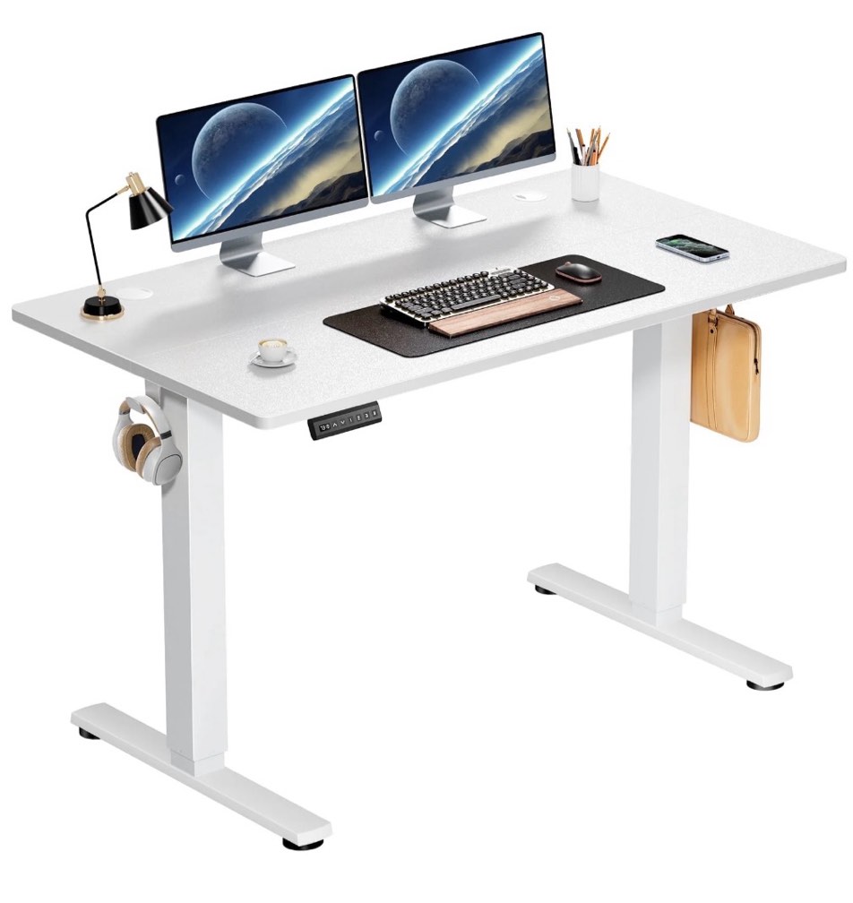 edx Electric Standing Desk, Height Adjustable Desk, 48 x 24 Inches Ergonomic Stand up Desk with Memory Preset and T-Shaped Metal Bracket for Home Office
