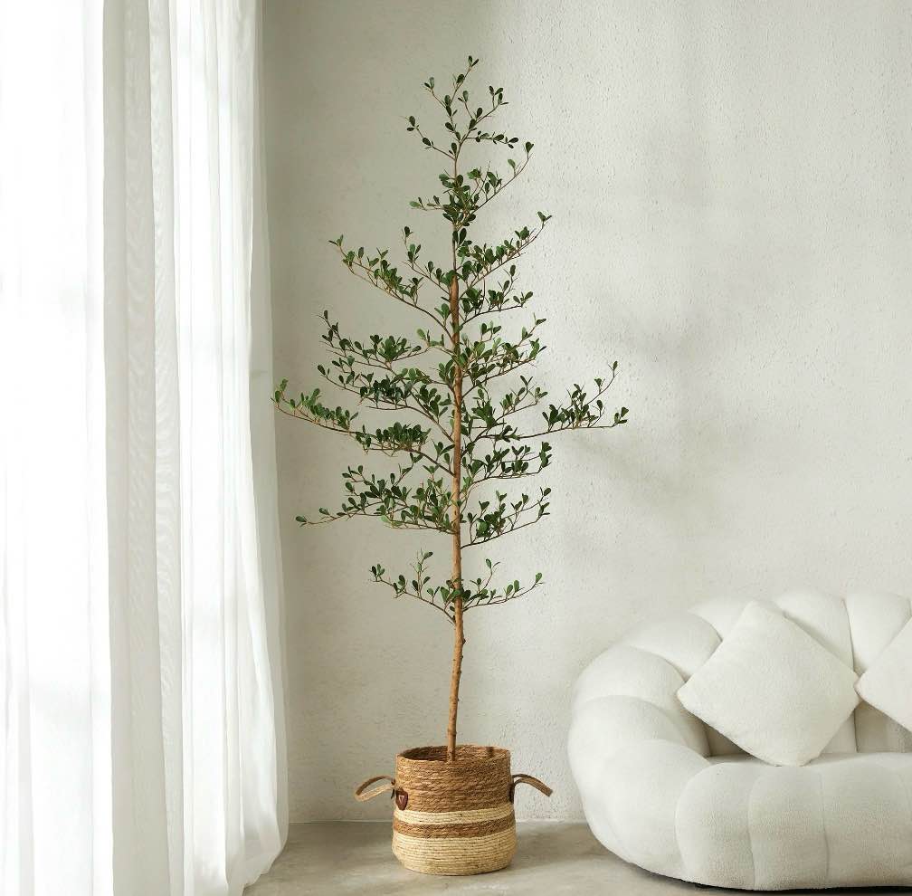 DR.Planzen 6ft Faux Black Olive Tree - Realistic Potted Artificial Tree with Natural Trunk & Silk Leaves - Tall Faux Plant for Home, Office, Indoor & Outdoor Decor - Low Maintenance & UV Resistant