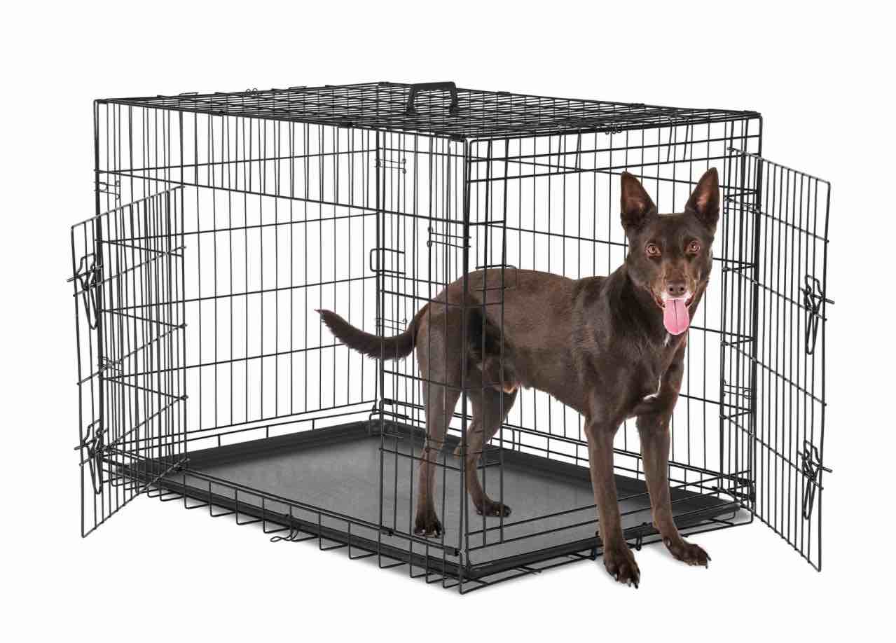 concetta 36 inch double-door folding dog crate, portable small cage with divider, leak-proof tray