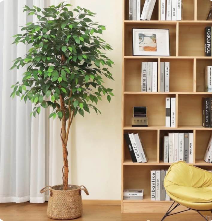 dr.planzen 6 feet artificial ficus tree, tall lifelike greenery with natural wood trunk for living room, office floor and corner decor