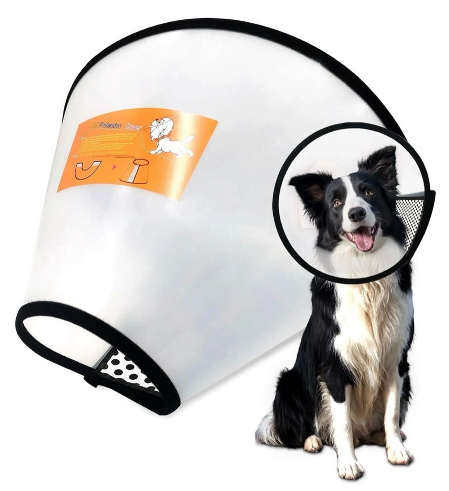 Dog Cone Collar Adjustable After Surgery, Comfortable Pet Recovery Collar & Cone for Large Medium Small Dogs, Elizabethan Dog Neck Collar Plastic Practical