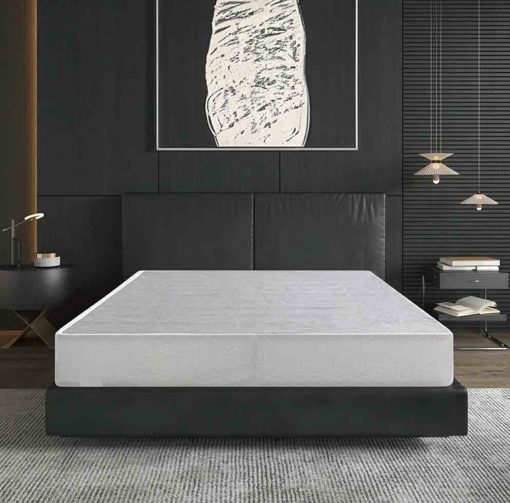 Egohome 9 Inch Queen Size Metal Box Spring, Easy Assembly Mattress Foundation, 80"*60"*9" Queen