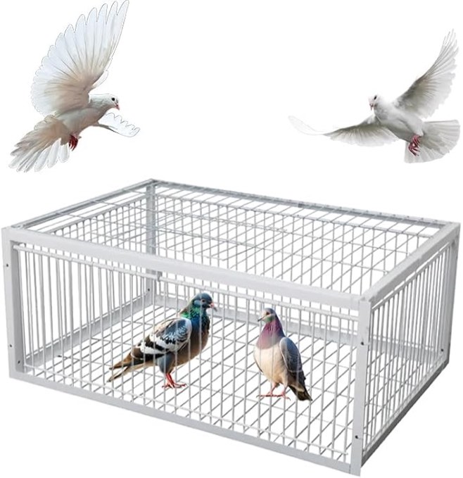 aiwfl pigeon trap w/ unidirectional entrance escape-proof bird trap cage pigeon collection chicken cage with metal welding white