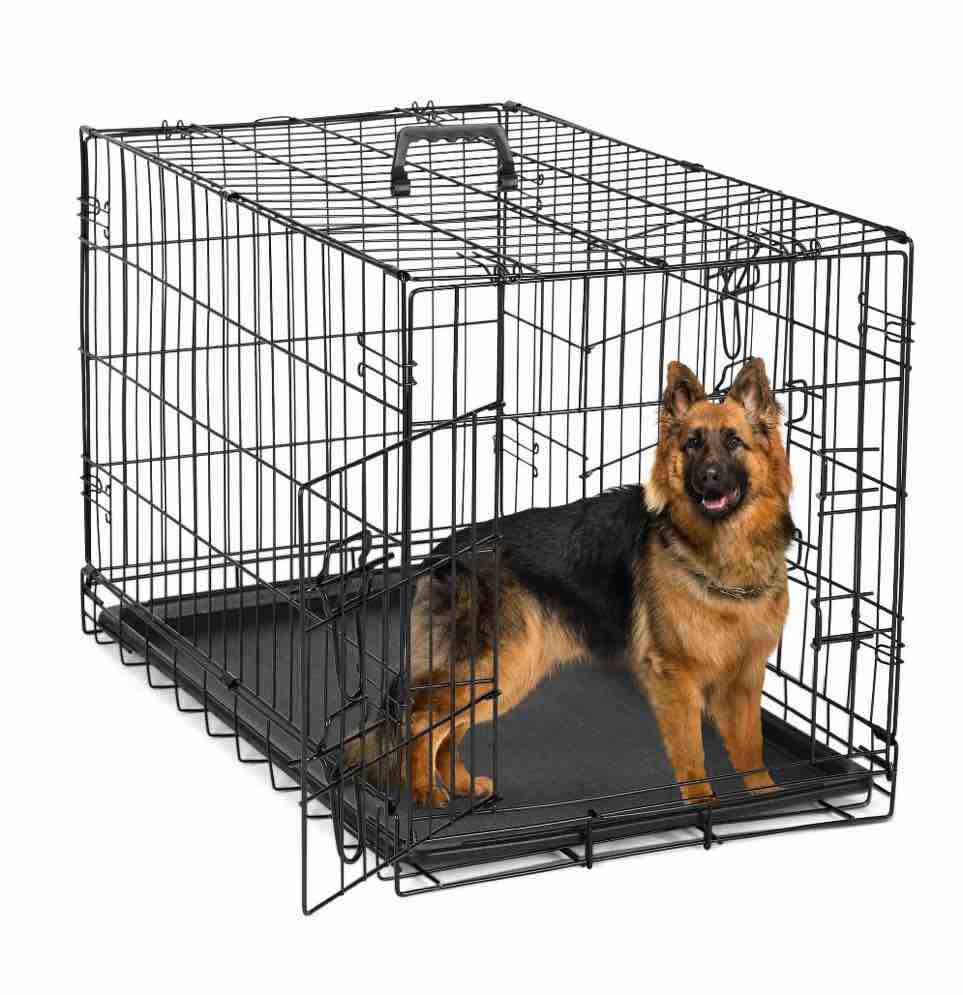 edx big dog crate with divider panel 48 inch double door folding metal wire dog cage with plastic leak-proof pan tray