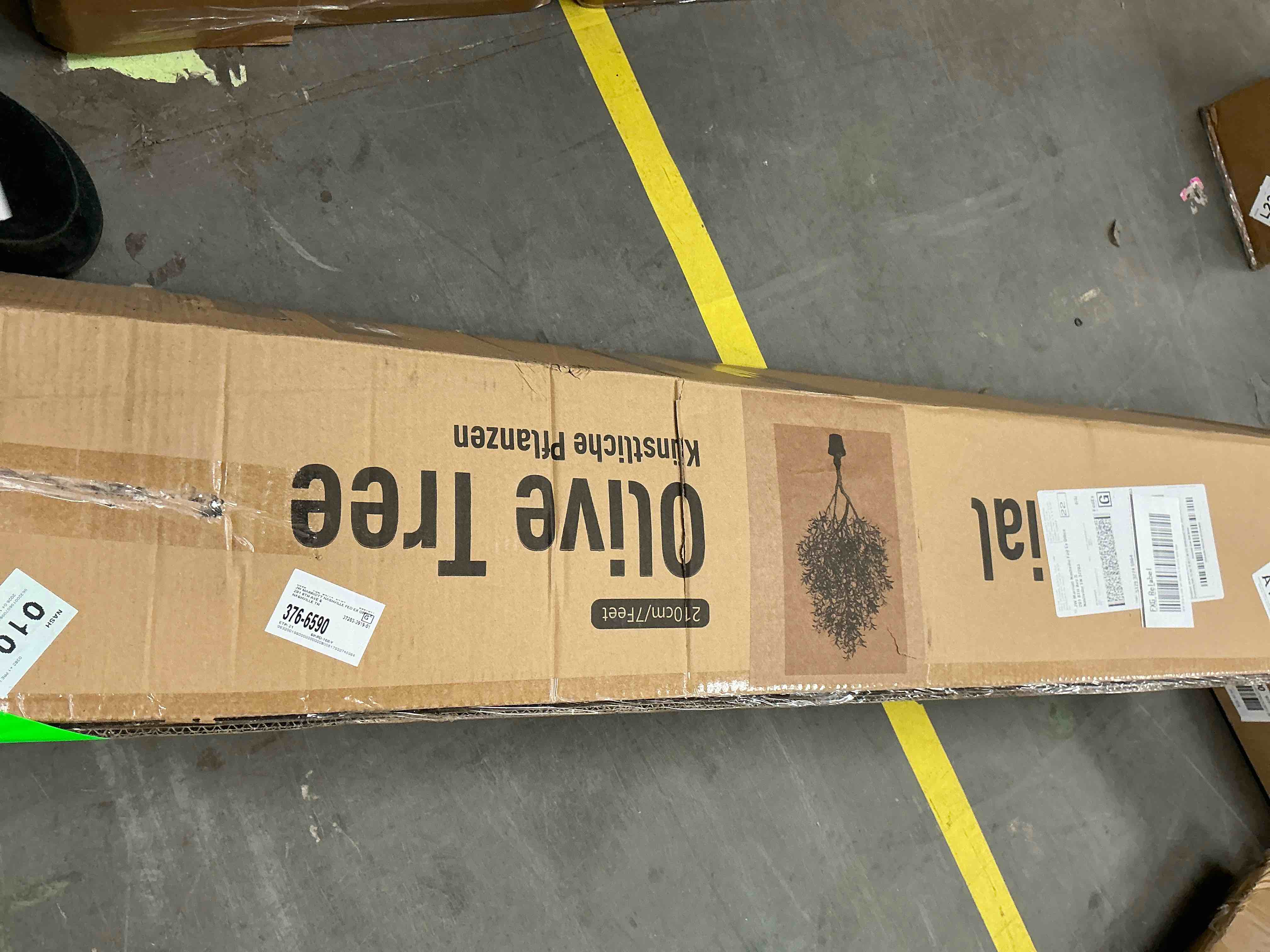 https://s3.amazonaws.com/lotting-images-prod/EmanualPiazza/PNK4211488_1778686359540.jpeg