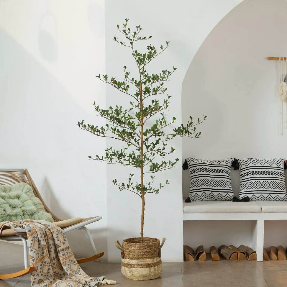 DR.Planzen 6ft Faux Black Olive Tree - Realistic Potted Artificial Tree with Natural Trunk & Silk Leaves - Tall Faux Plant for Home, Office, Indoor & Outdoor Decor - Low Maintenance & UV Resistant