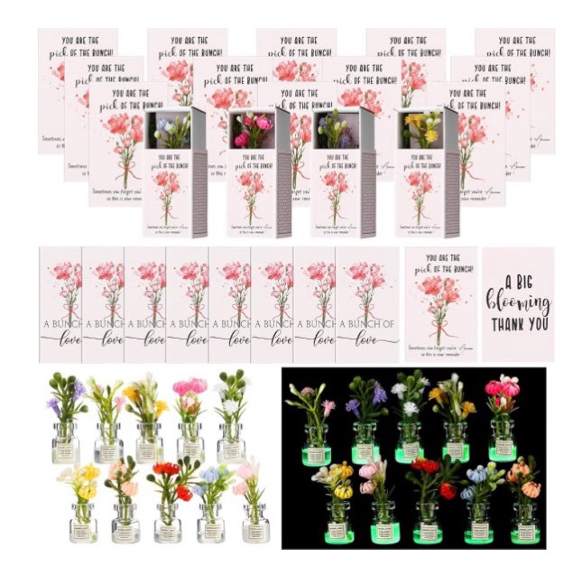 VioraWhite 36 Sers Valentine's Day Employee Appreciation Gifts Mini Glass Bud Vases Bulk with Box Po
