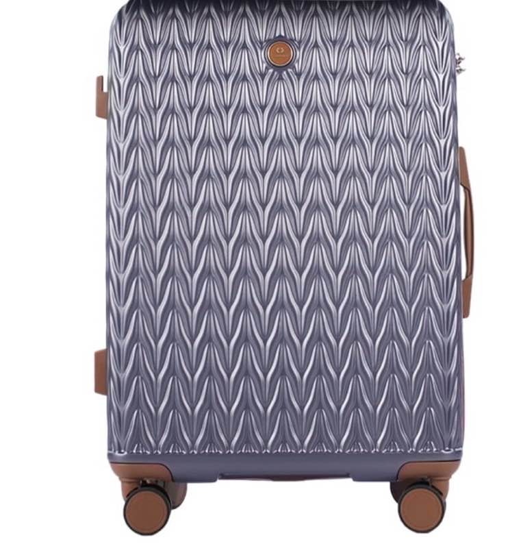 travelhouse luggage 1 piece hardside suitcase tsa lock spinner wheels 1 pcs hardshell .(grey) 20” only 