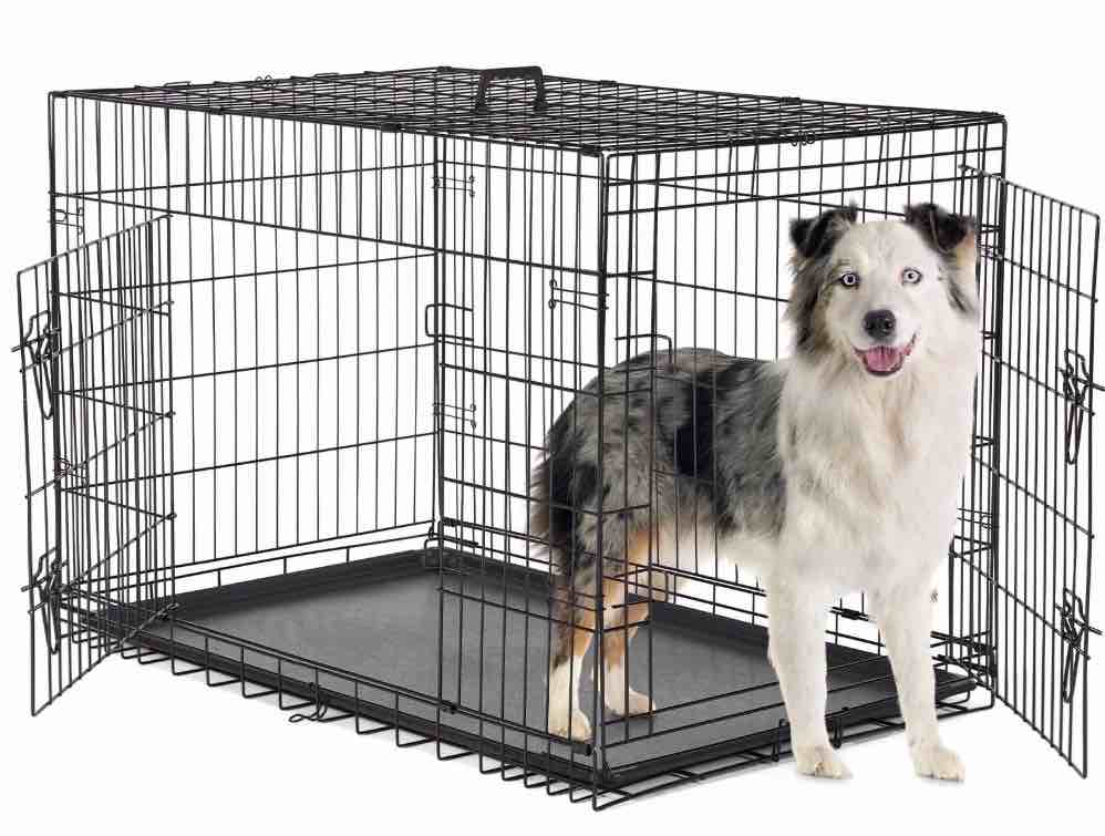 concetta 42 inch double-door folding dog crate, portable small cage with divider, leak-proof tray