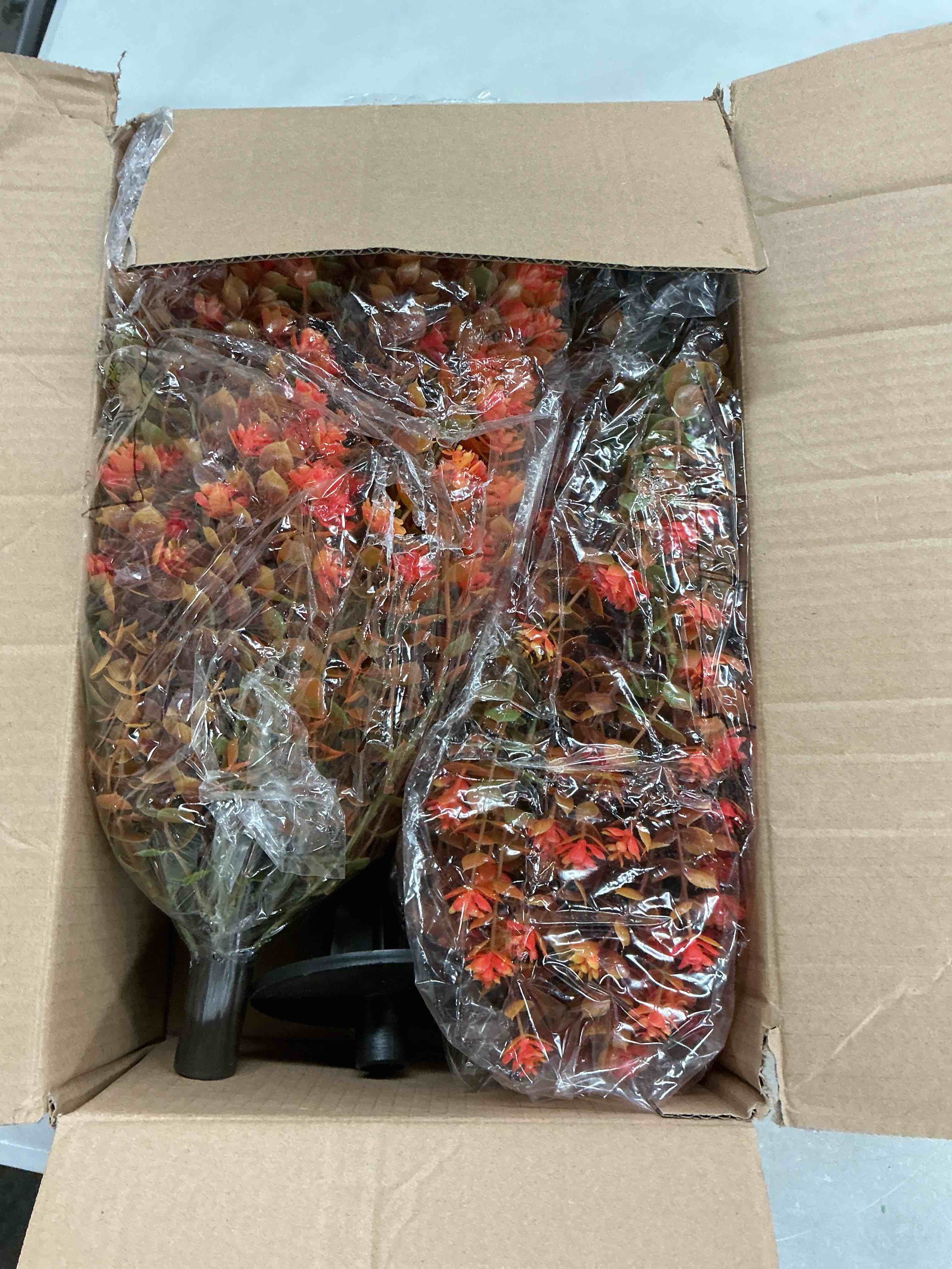 https://s3.amazonaws.com/lotting-images-prod/EmanualPiazza/PNK4985438_1778267874684.jpeg