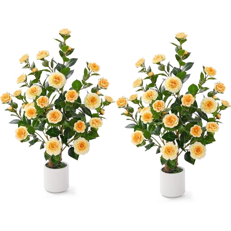 https://s3.amazonaws.com/lotting-images-prod/EmanualPiazza/PNK4991238_1779801417352.jpeg