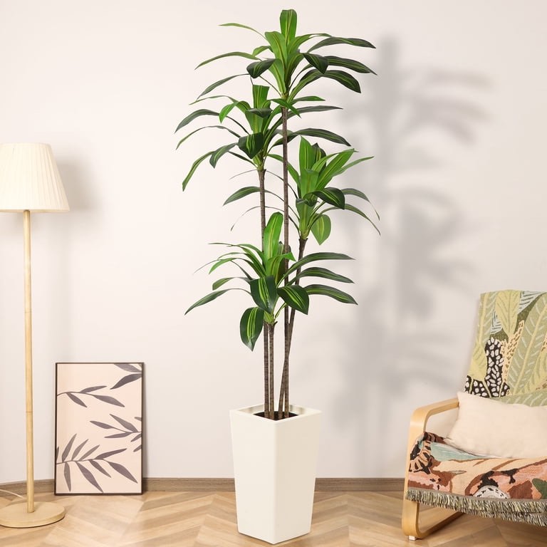 HiPlants 6 FT Artificial Dracaena Plant? Faux Dracaena Tree in White Taper Planter with River Rock, Tall Fake Trees with Adjustable Branches for Indoor Home Decor, Office, Pet-Friendly Spaces