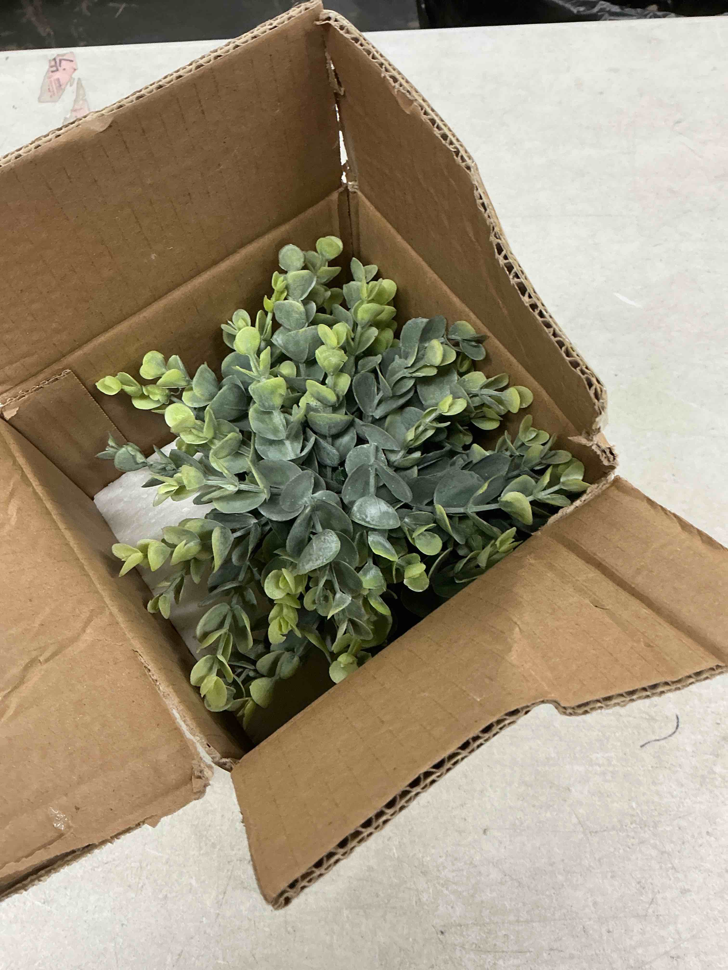 https://s3.amazonaws.com/lotting-images-prod/EmanualPiazza/PNK5165465_1781624047113.jpeg