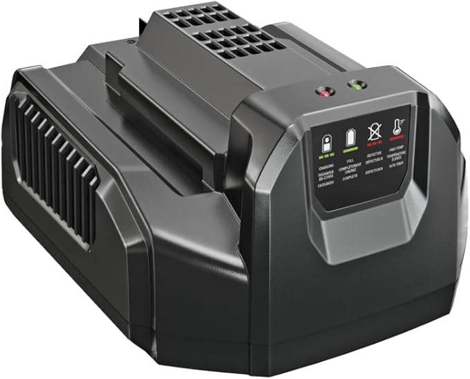 EGO CH2100 56-Volt Lithium-ion Standard Charger for EGO Power+ Equipment