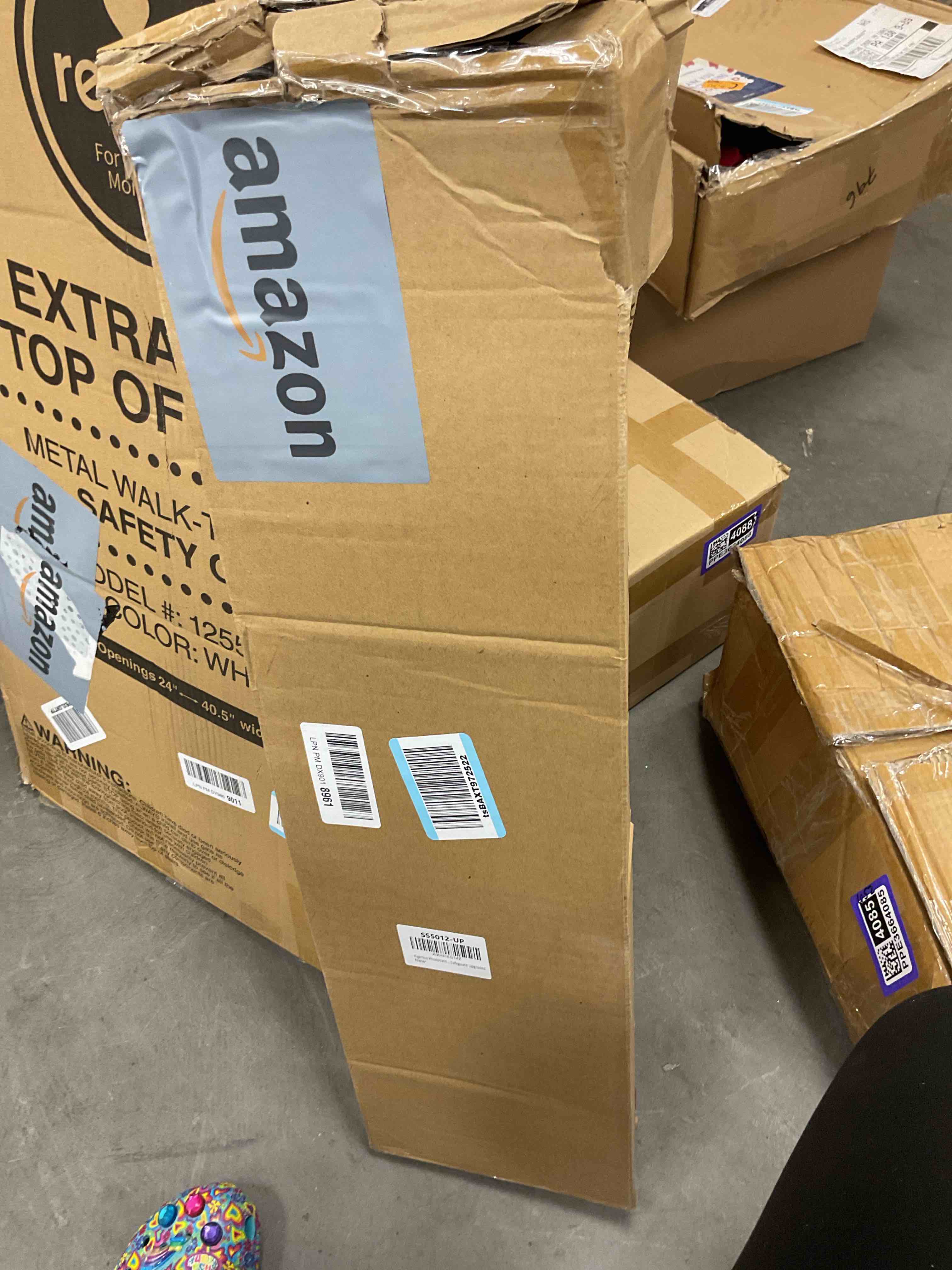 https://s3.amazonaws.com/lotting-images-prod/EmanualPiazza/PPE3664084_1753292372527.jpeg